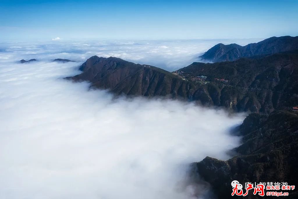 庐山出现立冬后首场视觉震撼的云海景观