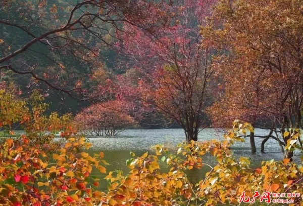 <b>赏秋最佳目的地！你离九江撩人的秋色，只差这些美景……</b>